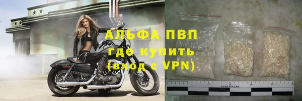 ешки Арсеньев