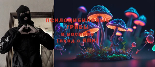 ешки Арсеньев