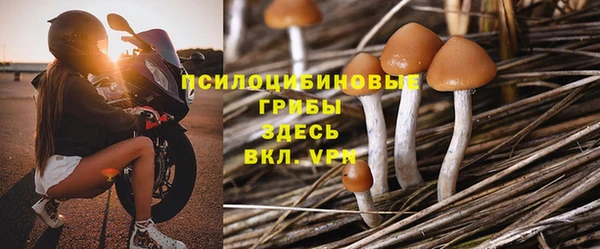 ешки Арсеньев
