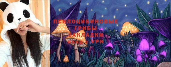 ешки Арсеньев