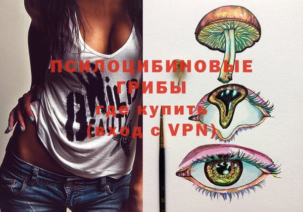 гидра Армянск
