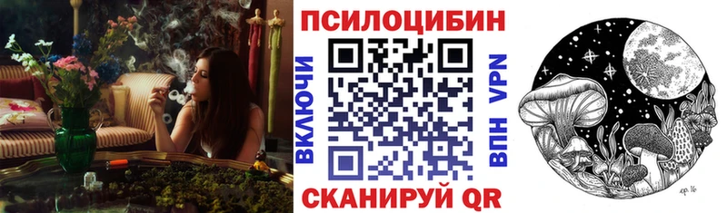 omg ONION где купить наркоту Сортавала Галлюциногенные грибы мицелий