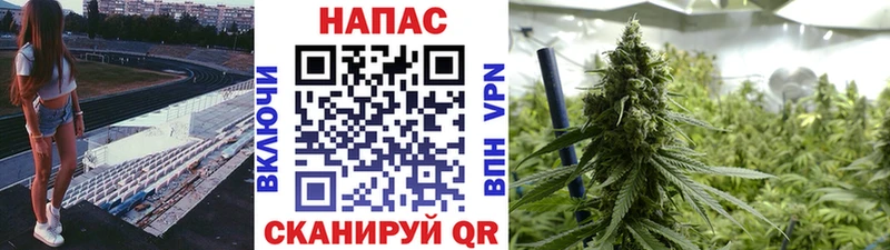 Канабис планчик Сортавала